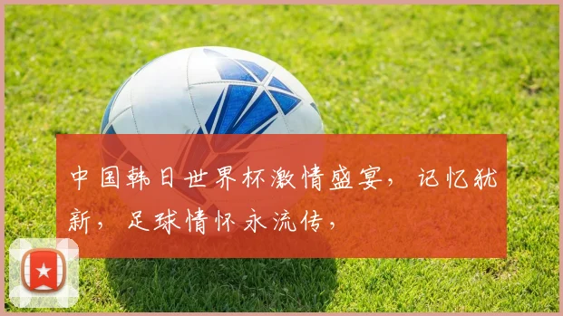 中国韩日世界杯激情盛宴，记忆犹新，足球情怀永流传，