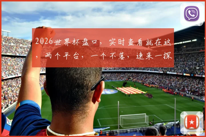 2026世界杯盘口，实时查看就在这，两个平台，一个不落，速来一探