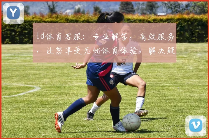 ld体育客服：专业解答，高效服务，让您享受无忧体育体验，解决疑问两步到位